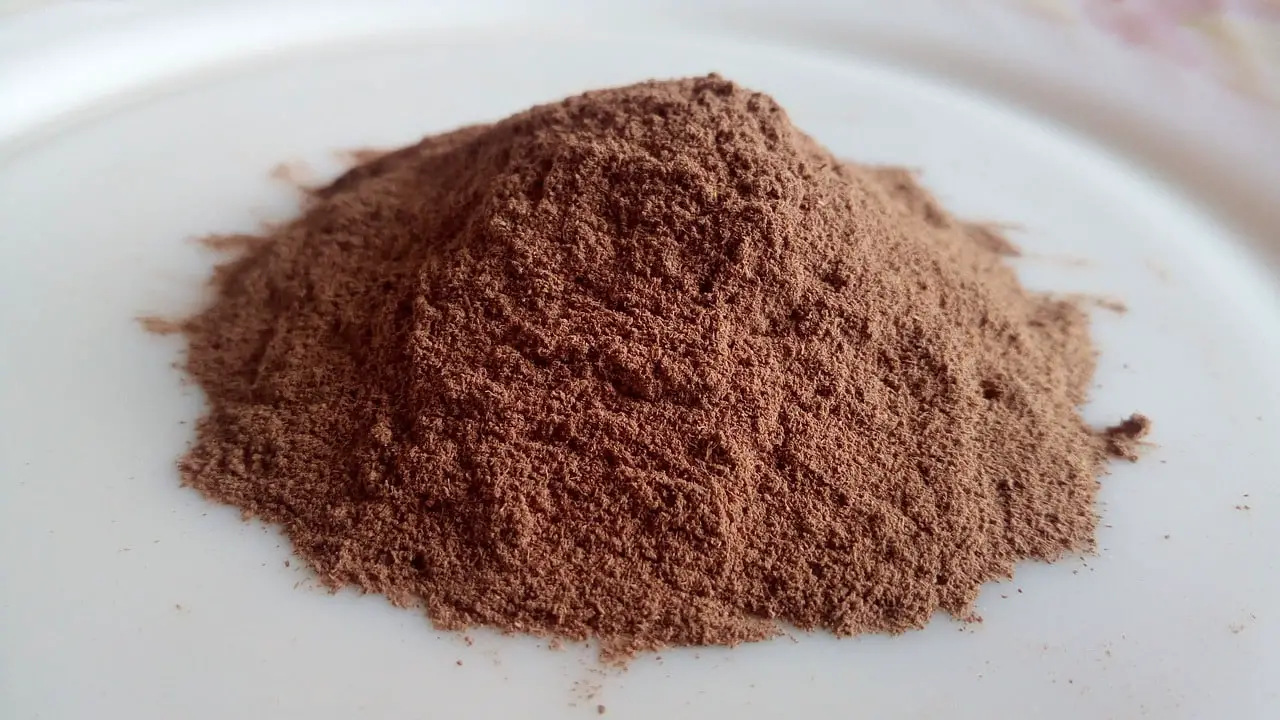 What is Arjuna powder good for