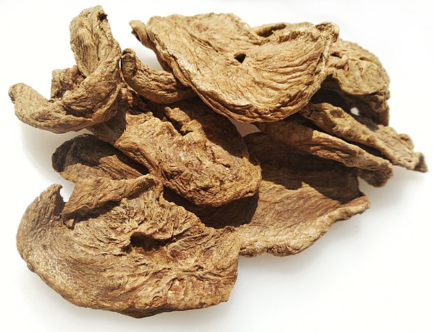 chicory_root_for_gut_health